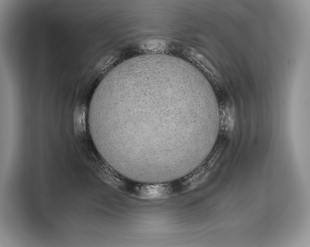 X0000110320717200905211526
