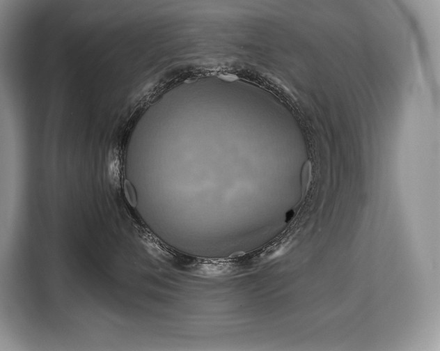 X0000110320720200905211526