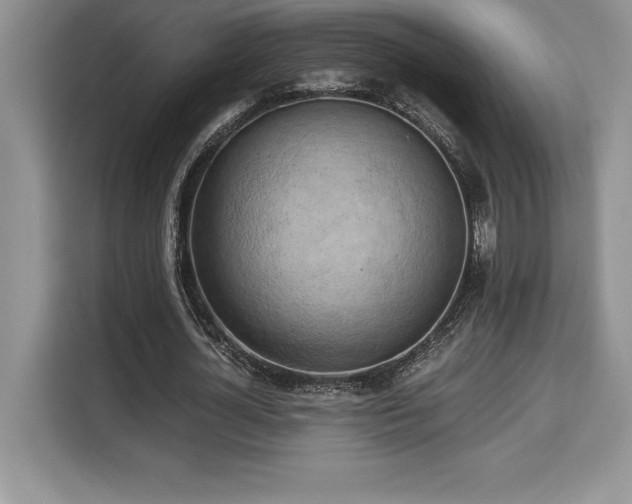 X0000110320724200905211526