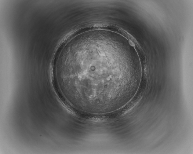 X0000110320725200905211526