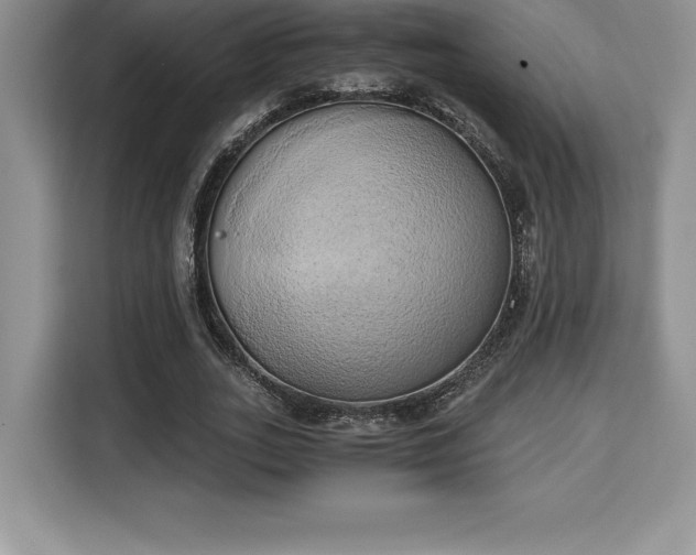 X0000110320727200905211526