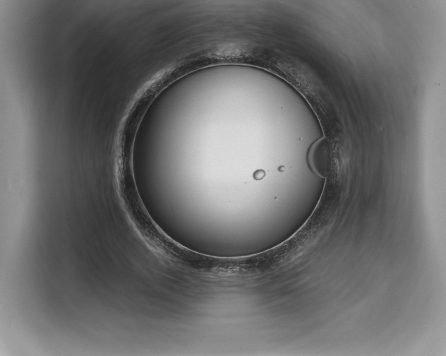X0000110320728200905211526