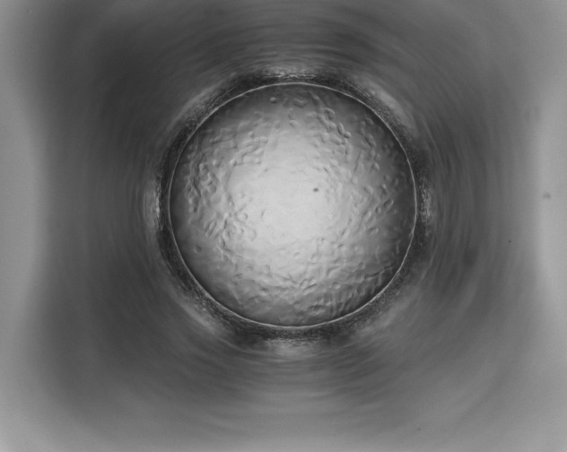 X0000110320733200905211526