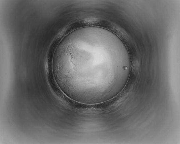 X0000110320734200905211526