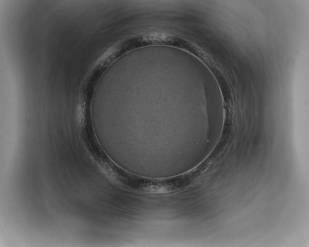 X0000110320735200905211526