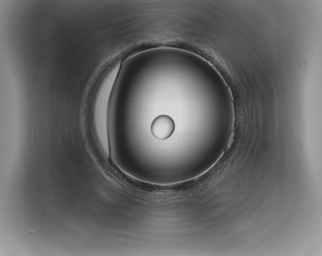 X0000110320736200905211526