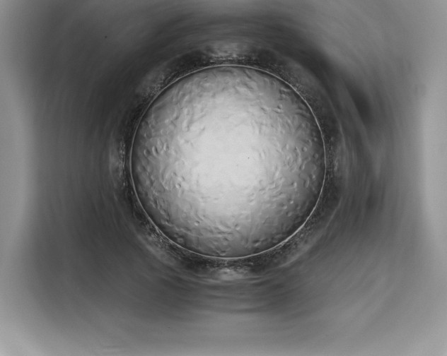 X0000110320737200905211526
