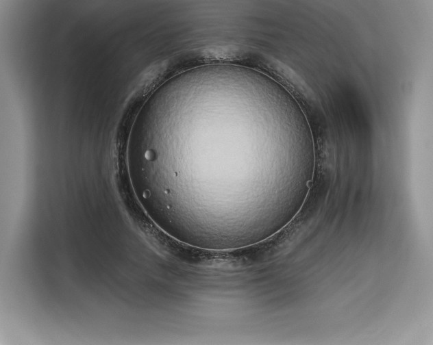X0000110320738200905211526