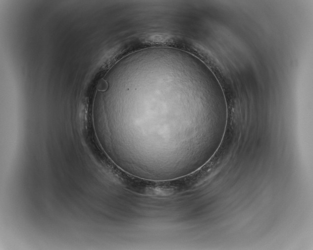 X0000110320739200905211526