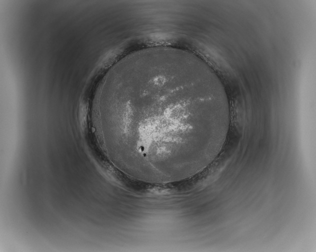 X0000110320742200905211526