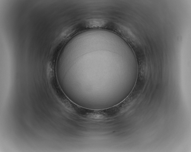 X0000110320743200905211526