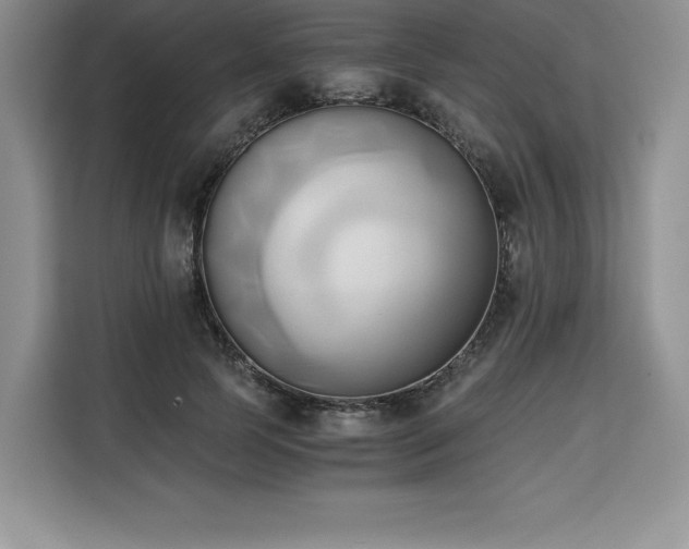 X0000110320745200905211526