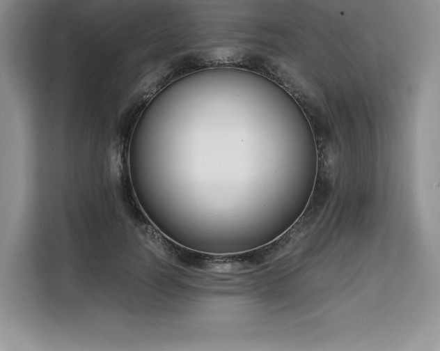 X0000110320746200905211526