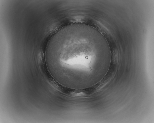 X0000110320747200905211526