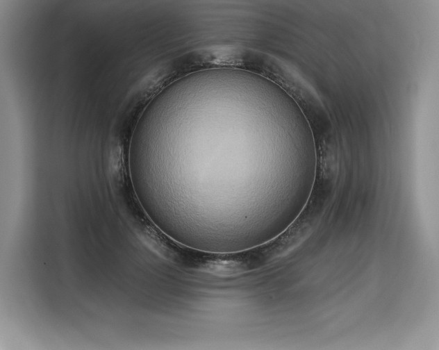 X0000110320748200905211526