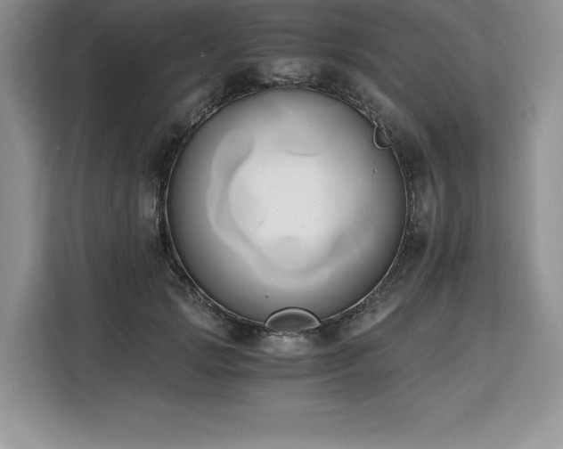 X0000110320749200905211526