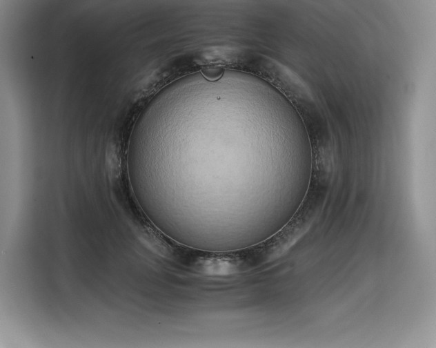X0000110320751200905211526