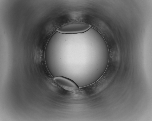 X0000110320752200905211526