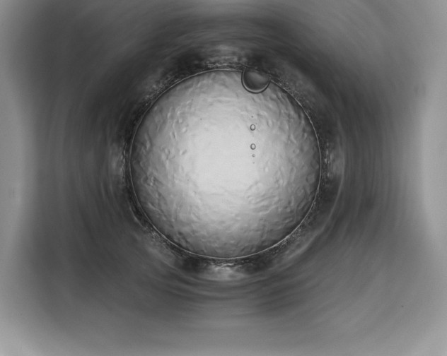 X0000110320753200905211526
