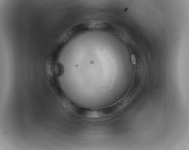 X0000110320755200905211526