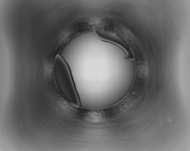 X0000110320756200905211526