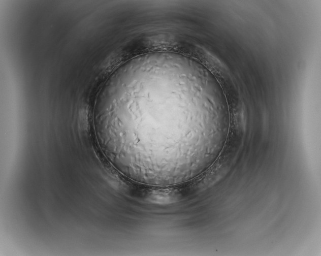 X0000110320757200905211526