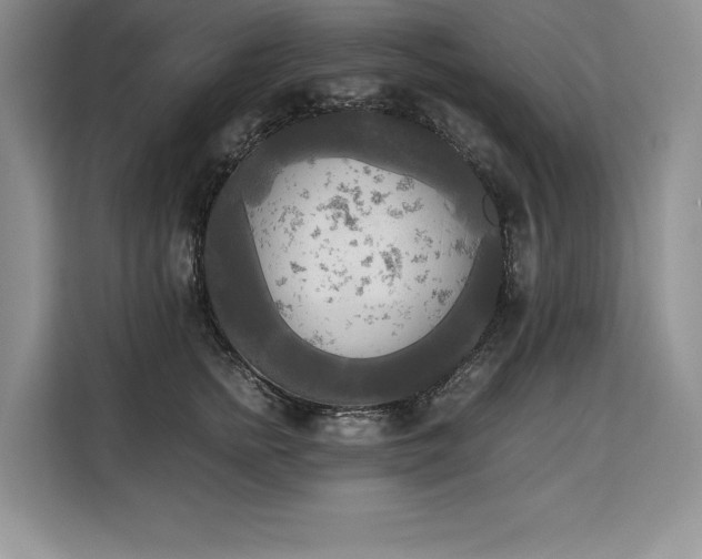 X0000110320758200905211526