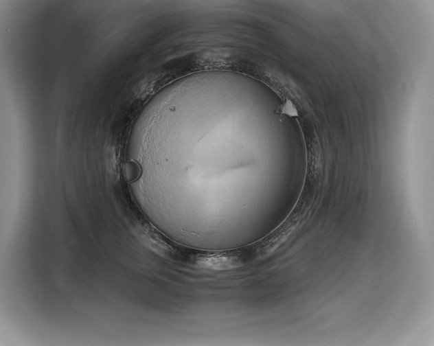 X0000110320759200905211526