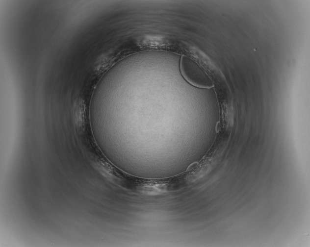 X0000110320760200905211526