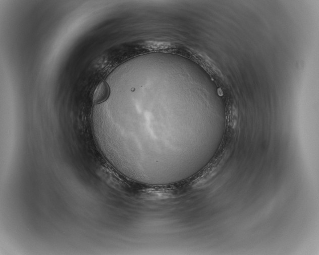 X0000110320763200905211526
