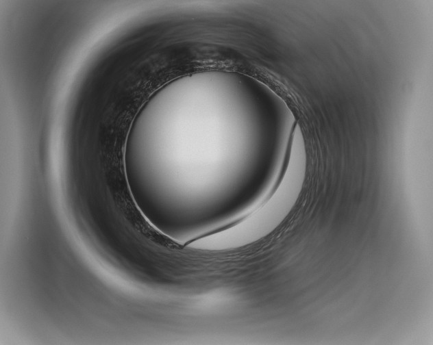 X0000110320764200905211526