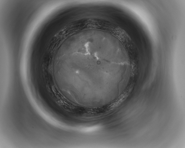 X0000110320765200905211526