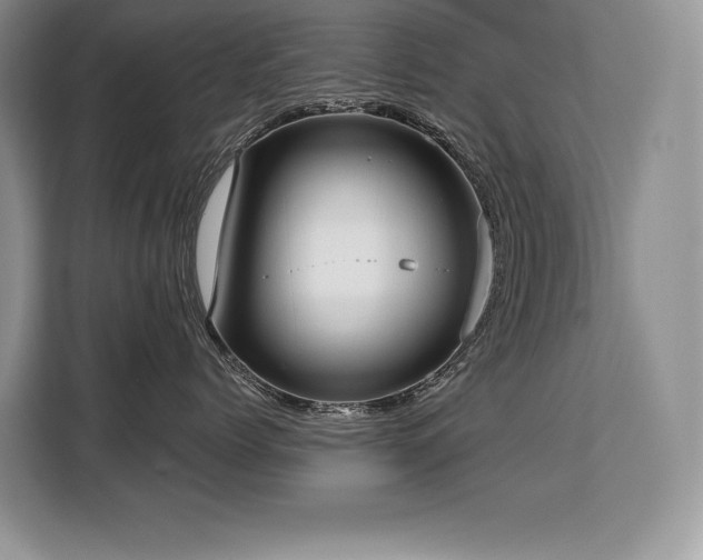 X0000110320768200905211526