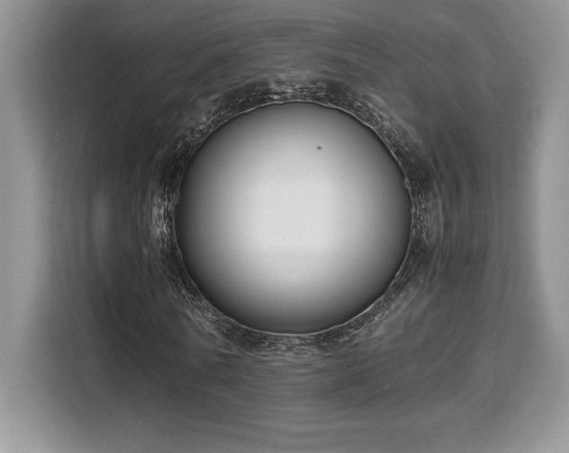 X0000110320770200905211526