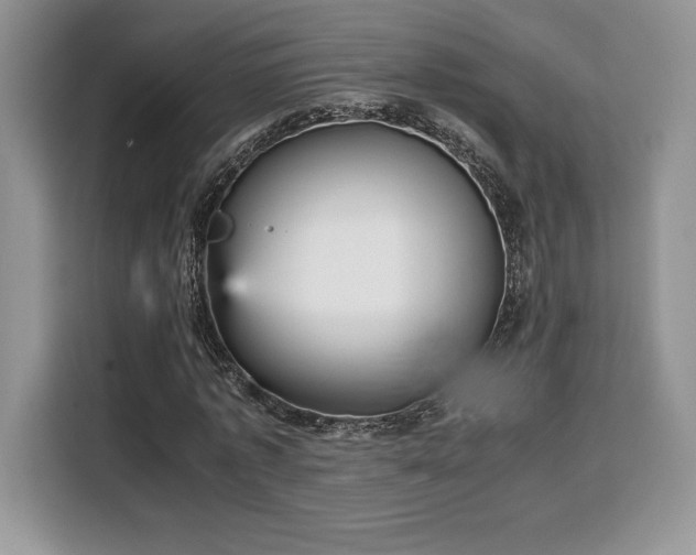 X0000110320773200905211525