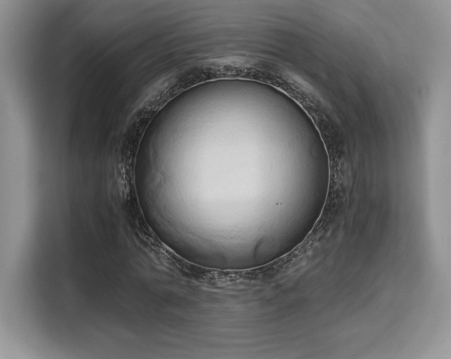 X0000110320774200905211525