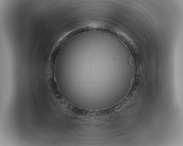 X0000110320776200905211525