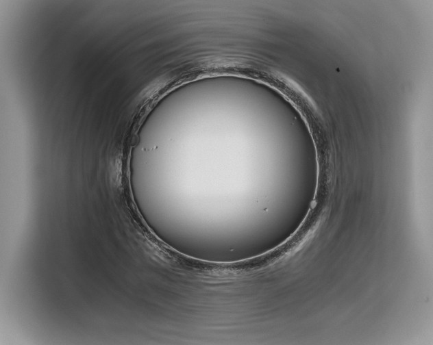 X0000110320777200905211525