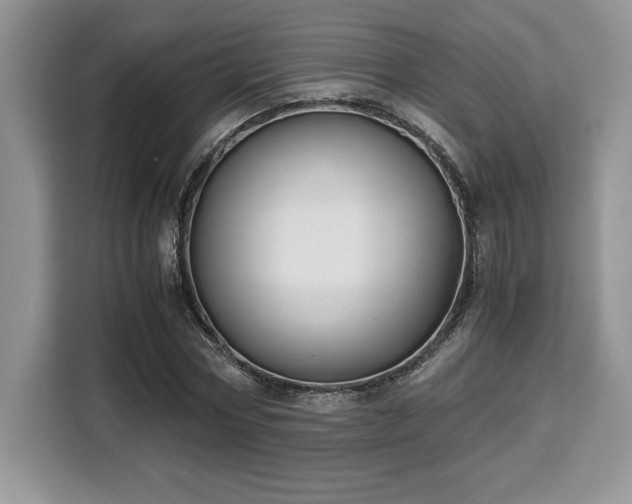 X0000110320778200905211525