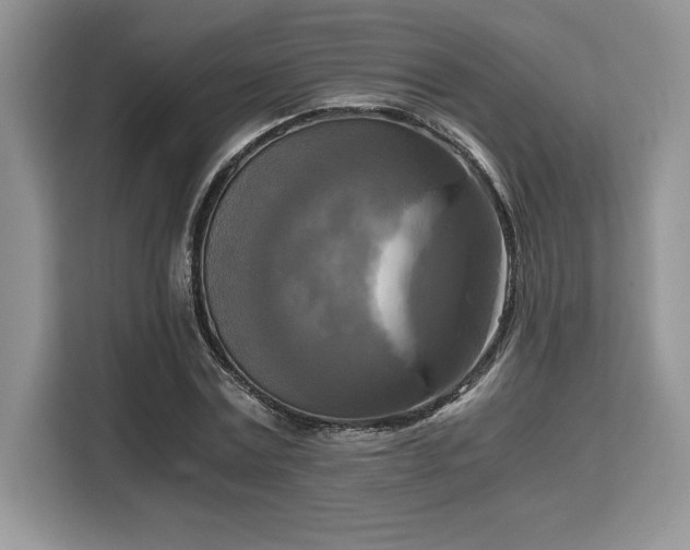 X0000110320779200905211525
