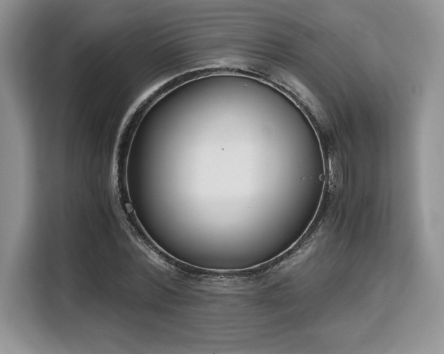 X0000110320780200905211525