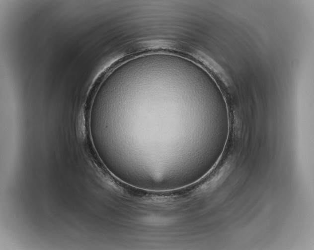 X0000110320782200905211525