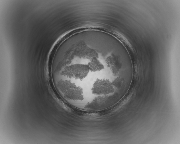 X0000110320784200905211525