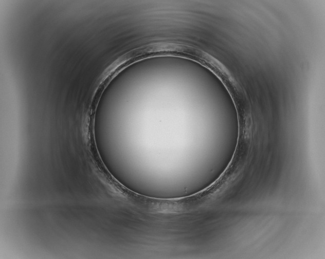 X0000110320786200905211525