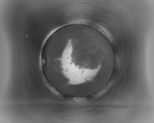 X0000110320788200905211525