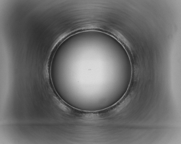 X0000110320789200905211525