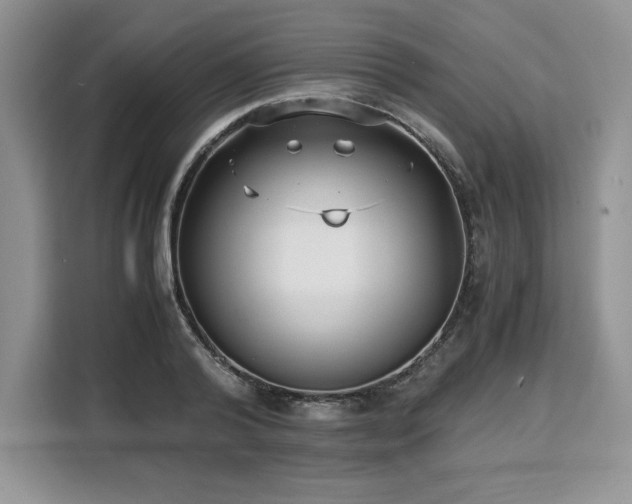 X0000110320792200905211525