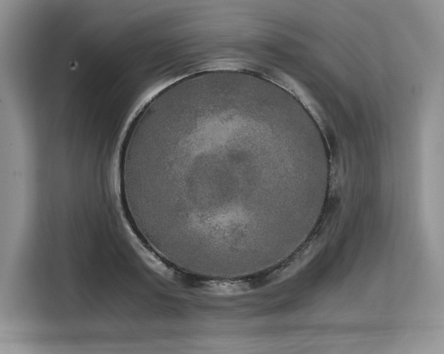 X0000110320795200905211525