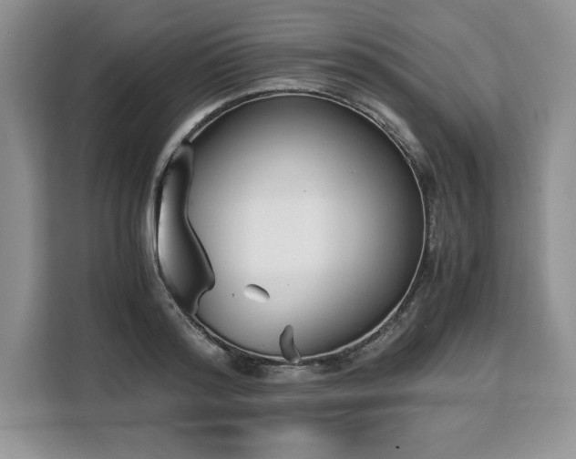 X0000110320796200905211525