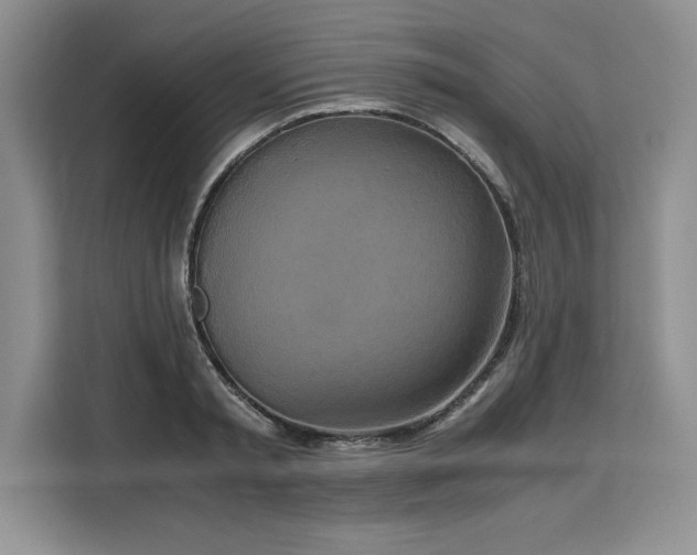 X0000110320797200905211525